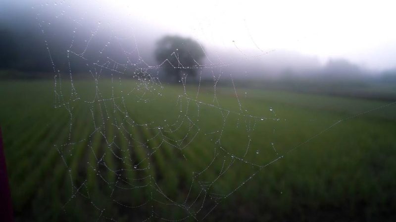 Unraid NAS 系统搭建完全指南：从零打造你的家庭数据中枢-黑苹果 - 纯净黑苹果镜像下载站